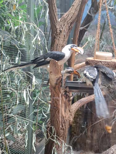 Tierfotografie im Zoologisch-Botanischen Garten