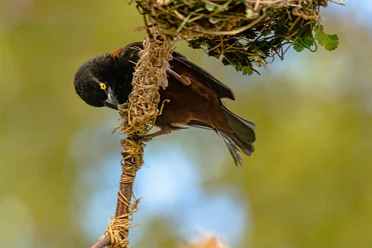 Tierfotografie im Zoologisch-Botanischen Garten