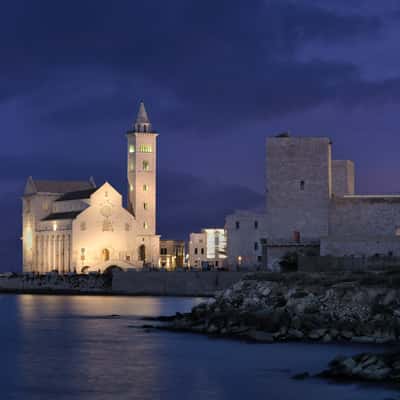 Trani cathedral at dusk, Italy