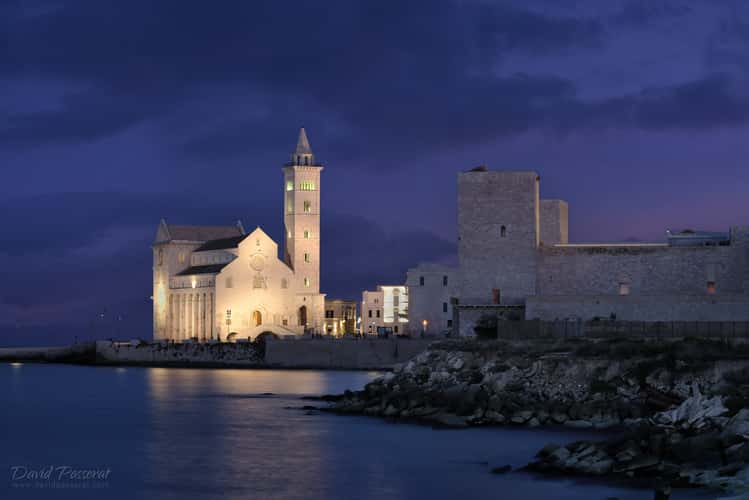Trani cathedral at dusk