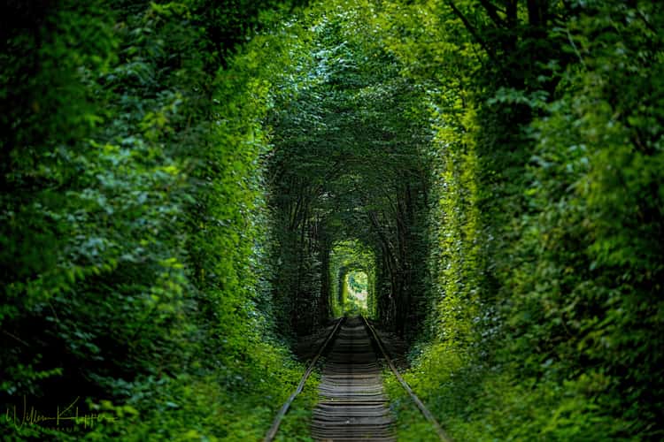Tunnel of Love