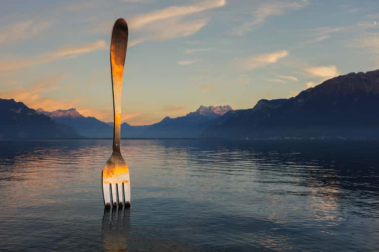 Vevey Fork