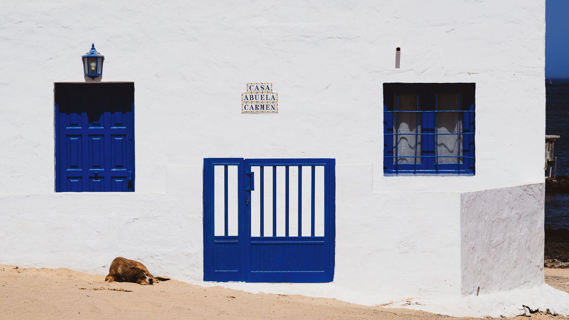 Wyspiarski pies, Spain