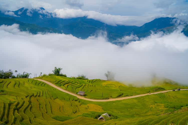Y Ty & Ngai Thau Cloud Hunting Spot
