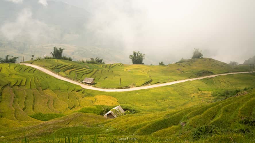 Y Ty & Ngai Thau Cloud Hunting Spot