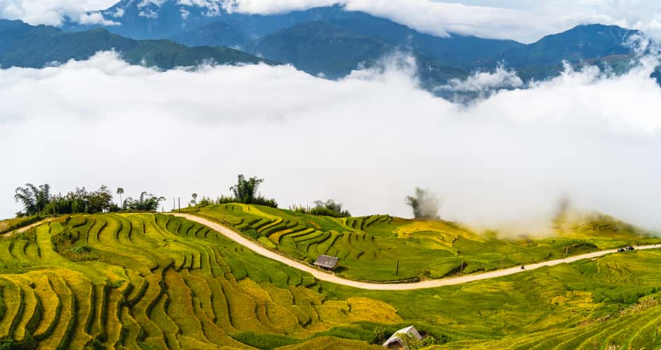 Y Ty & Ngai Thau Cloud Hunting Spot
