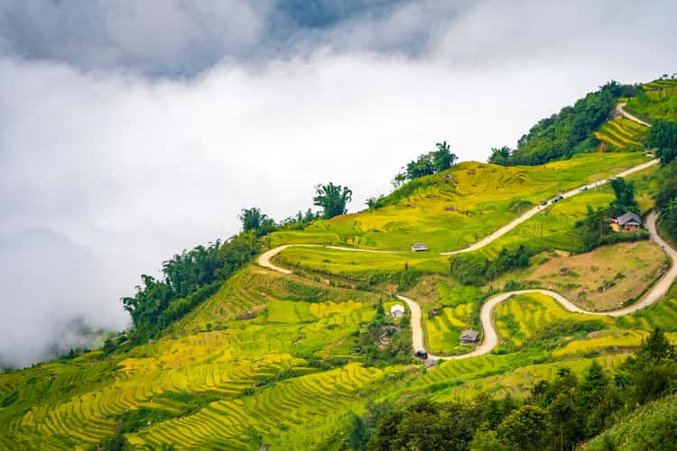 Y Ty & Ngai Thau Cloud Hunting Spot