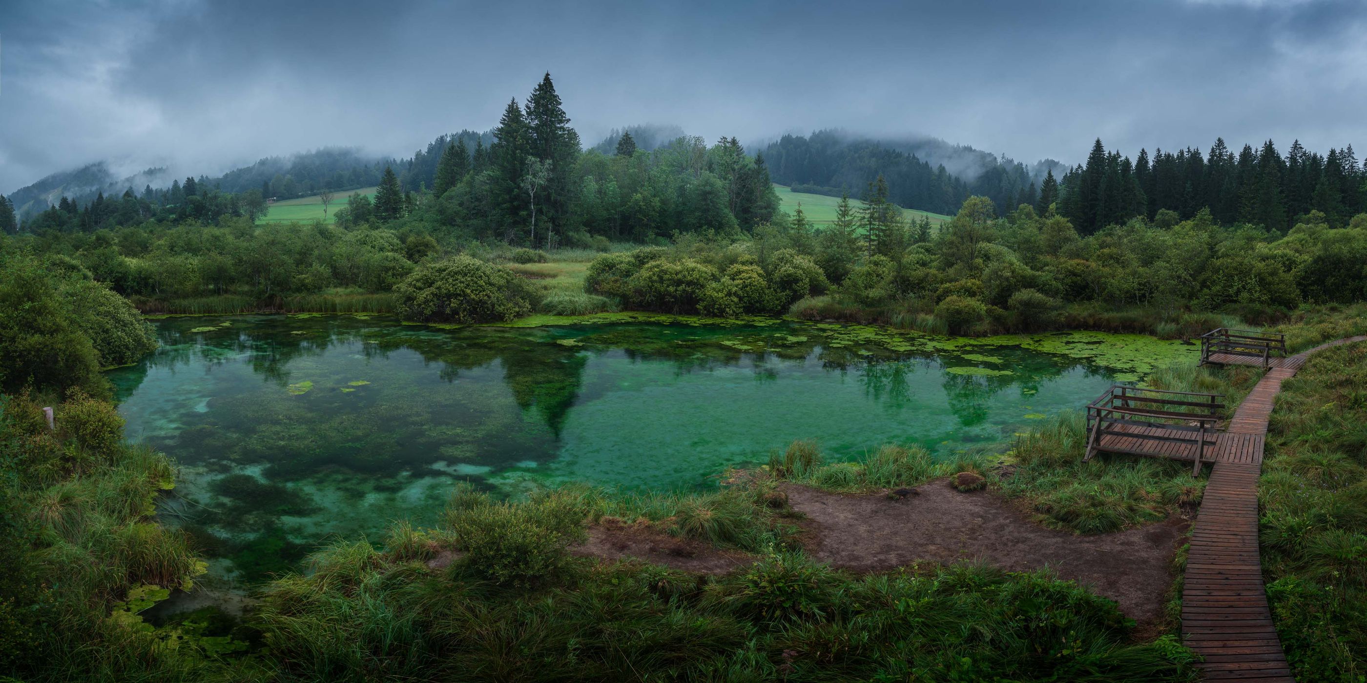 Zelenci Nature Reserve, Slovenia